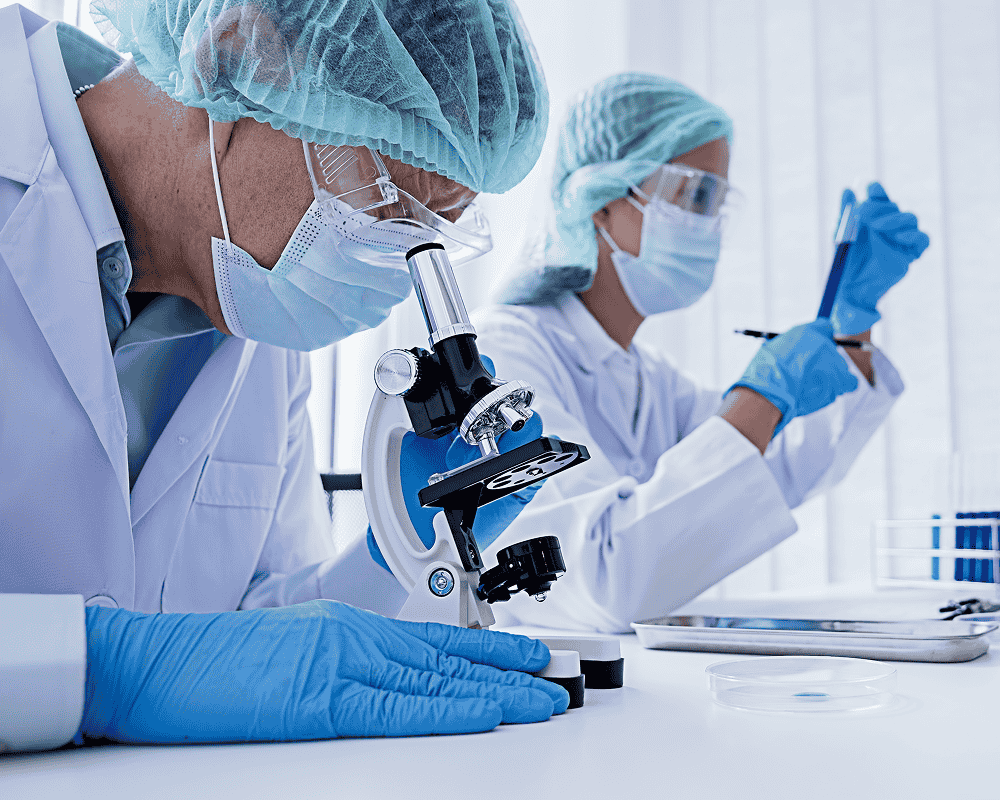 Clinical Research Studies