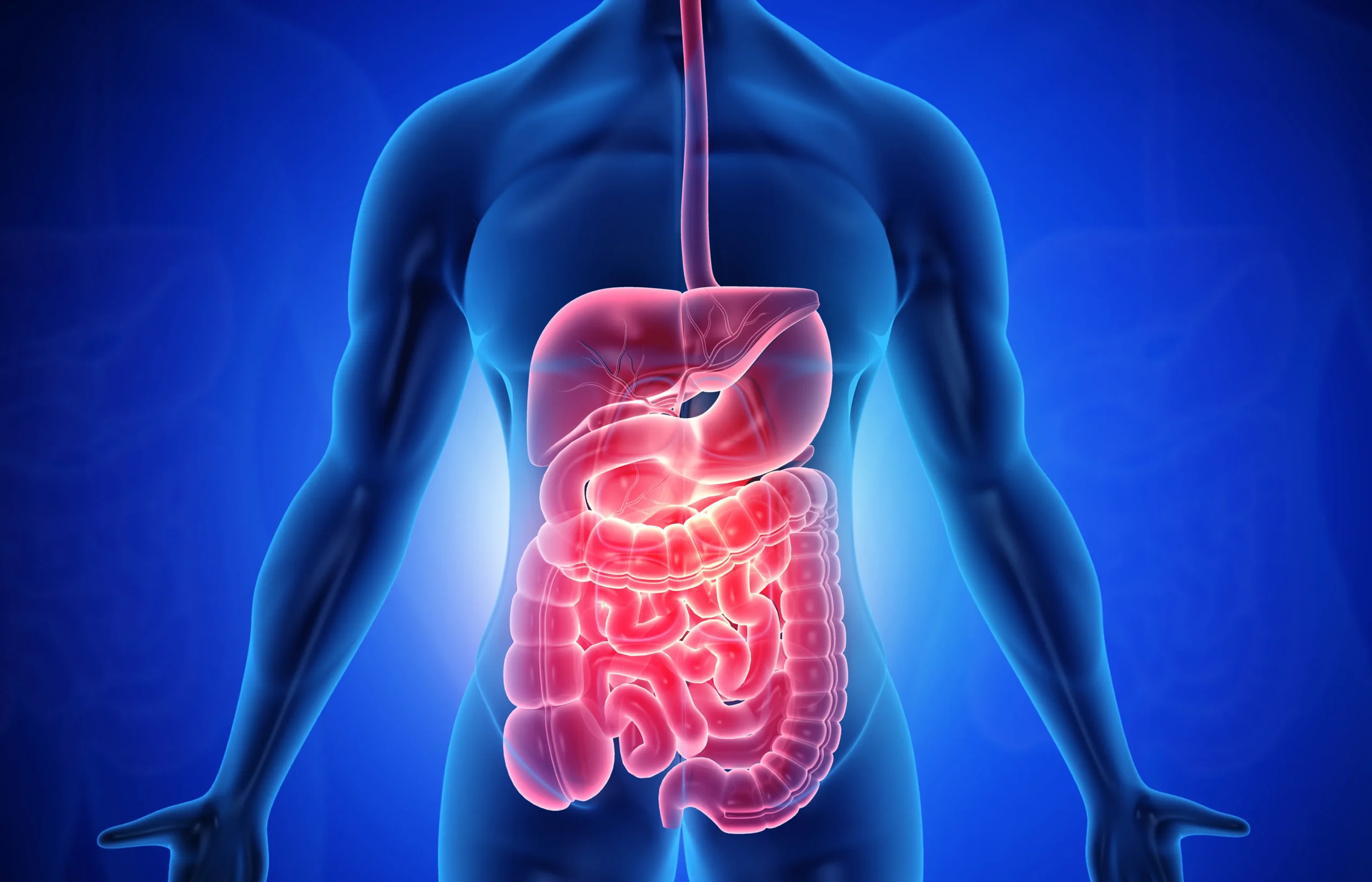 Gastroenterology