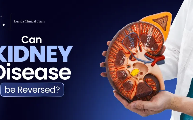 Can Kidney Disease be Reversed
