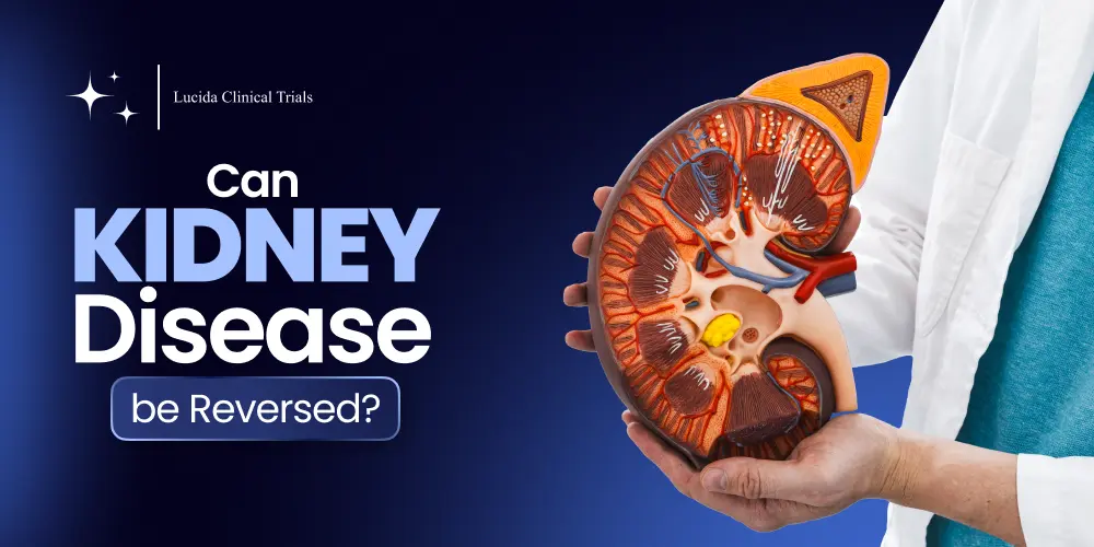 Can Kidney Disease be Reversed