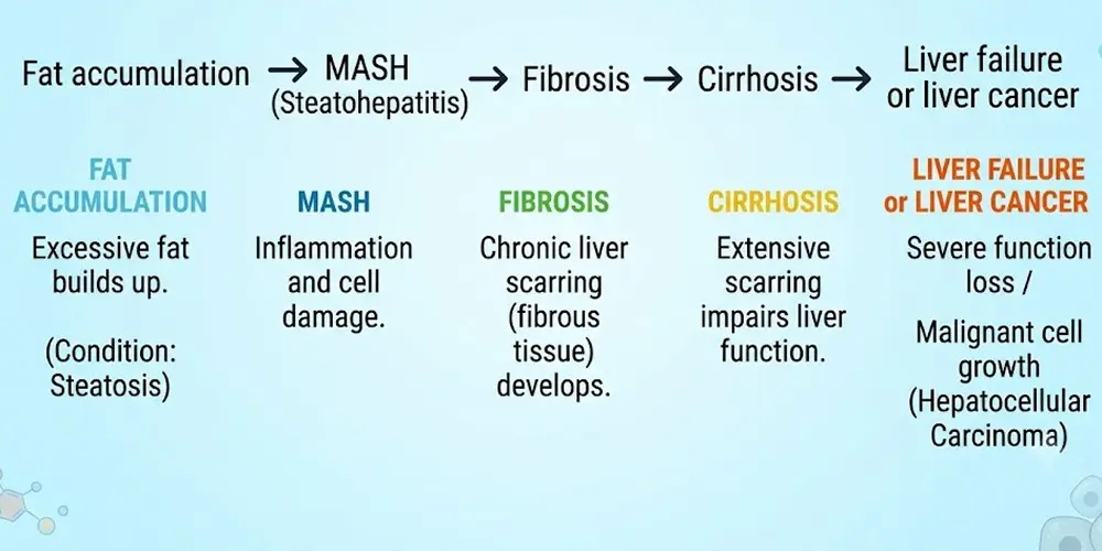 is fatty liver dangerous